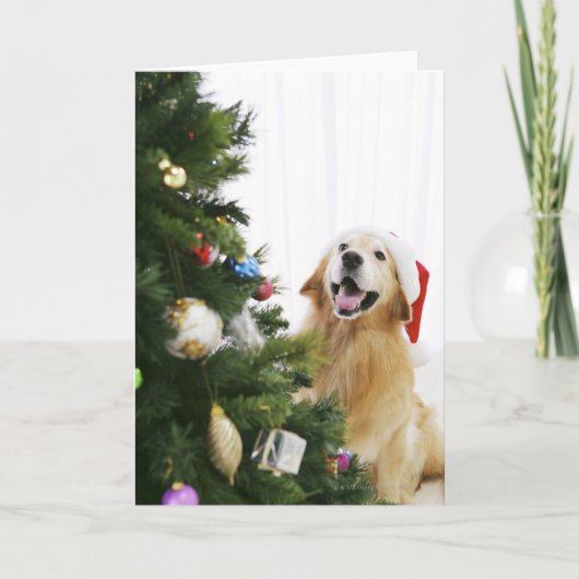 Golden retriever wat op Kerstboom let Feestdagen Kaart (Voorkant)