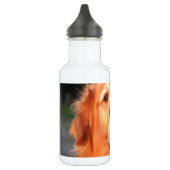 Golden Retriever Waterfles (Links)