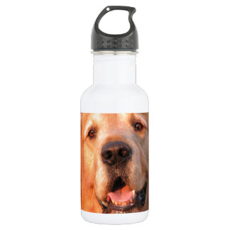 Golden Retriever Waterfles