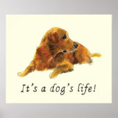 Golden Retriever waterverf Dog Slogan Poster (Voorkant)