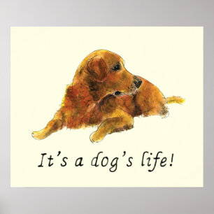 Golden Retriever waterverf Dog Slogan Poster