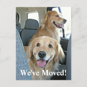 Golden Retriever We hebben een adreswijziging verp Aankondigingskaart