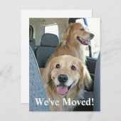 Golden Retriever We hebben een adreswijziging verp Aankondigingskaart (Voorkant / Achterkant)