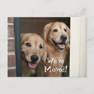 Golden Retriever We hebben een nieuw adres verplaa Aankondigingskaart
