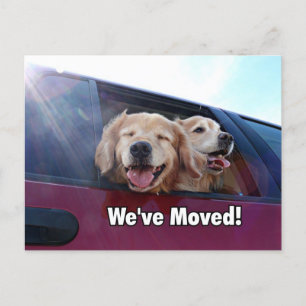 Golden Retriever We hebben een nieuw adres verplaa Aankondigingskaart