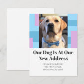 Golden Retriever We hebben Pet Dog foto verplaatst Aankondiging (Voorkant / Achterkant)