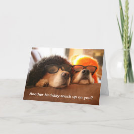 Golden Retriever Weer een 'Birthday'-Wenskaart Kaart