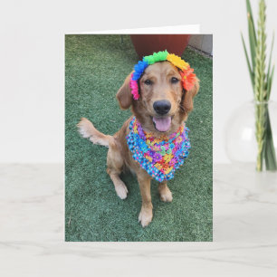 Golden Retriever wenskaart Bedankkaart
