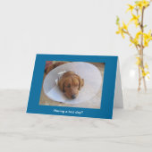 Golden Retriever Wenskaart Cone Kaart (Gele Bloem)