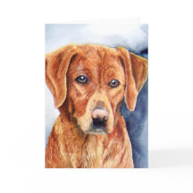 Golden Retriever Wenskaart