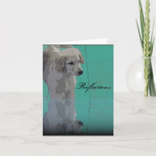 Golden Retriever Wenskaart Kaart (Voorkant)