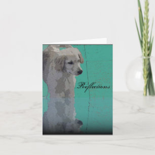 Golden Retriever Wenskaart Kaart