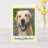 Golden Retriever Wenskaart Kaart (Gele Bloem)