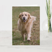 Golden Retriever Wenskaart Kaart (Voorkant)