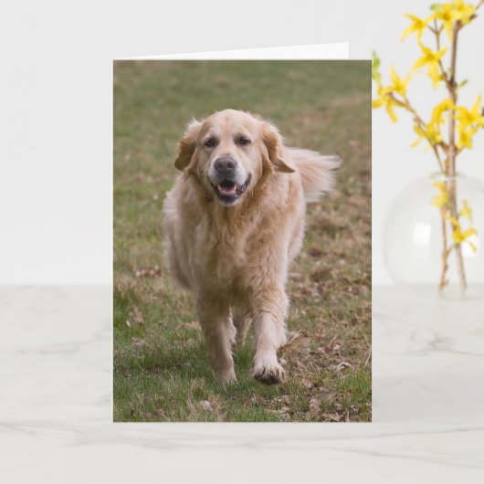 Golden Retriever Wenskaart Kaart (Gele Bloem)