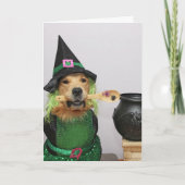 Golden Retriever Witchin' Halloween Feestdagen Kaart (Voorkant)