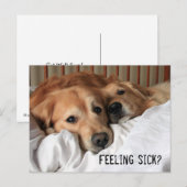 Golden Retriever wordt snel goed Briefkaart (Voorkant / Achterkant)