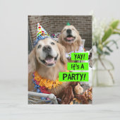Golden Retriever Yay Het is een feestuitnodiging Kaart (Staand voorkant)