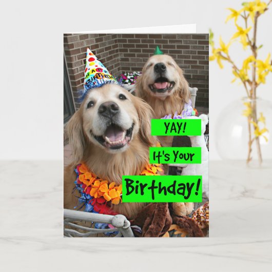 Golden Retriever Yay Het is jouw verjaardag Kaart (Gele Bloem)