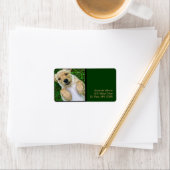 Golden Retriever Yellow Lab Puppy Adresetiketten Etiket (Insitu)