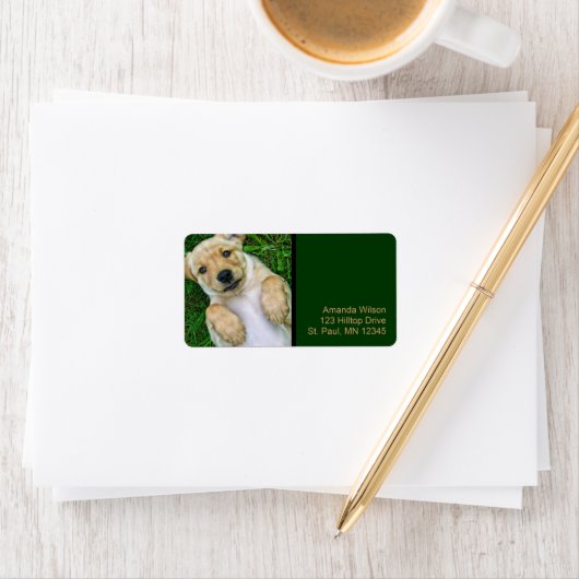 Golden Retriever Yellow Lab Puppy Adresetiketten Etiket (Insitu)