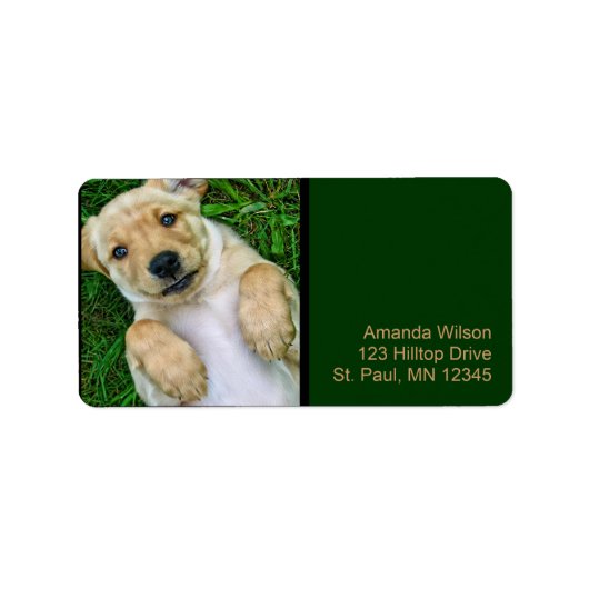 Golden Retriever Yellow Lab Puppy Adresetiketten Etiket (Voorkant)