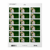 Golden Retriever Yellow Lab Puppy Adresetiketten Etiket (Full Sheet)