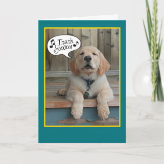 Golden Retriever Zingt lof toe Hartelijk dank Bedankkaart
