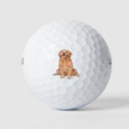 Golden Retriever Zitten - Schattig design Golfballen
