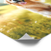 Golden Retriever - Zo blij Poster (Hoek)