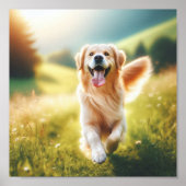 Golden Retriever - Zo blij Poster (Voorkant)