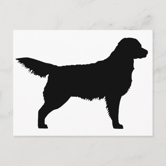 Golden Retriever (zwart) Briefkaart (Voorkant)