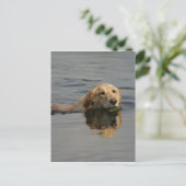 Golden Retriever zwemmen Briefkaart (Staand voorkant)