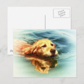 Golden Retriever zwemmen - Briefkaart voor de Dog (Voorkant / Achterkant)