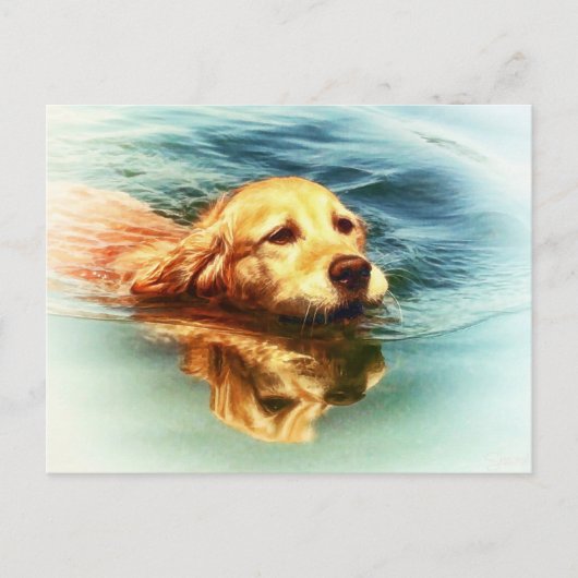 Golden Retriever zwemmen - Briefkaart voor de Dog (Voorkant)