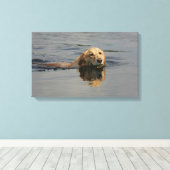 Golden Retriever zwemmen Canvas Afdruk (Insitu (Houten vloer))