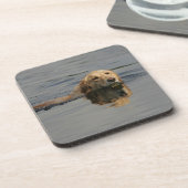 Golden Retriever zwemmen Drankjes Onderzetter (Linkerzijde)