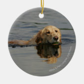 Golden Retriever zwemmen Keramisch Ornament (Voorkant)