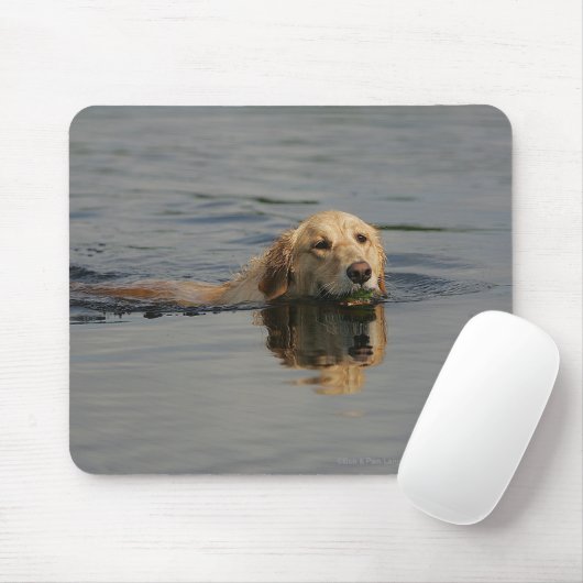 Golden Retriever zwemmen Muismat (Met muis)