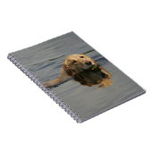 Golden Retriever zwemmen Notitieboek (Rechterzijde)