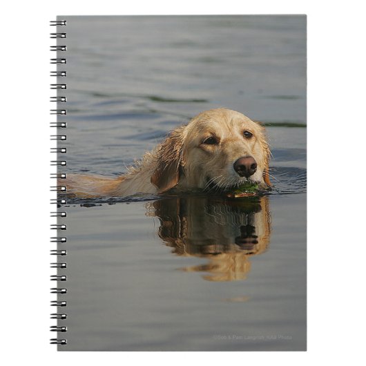 Golden Retriever zwemmen Notitieboek (Voorkant)