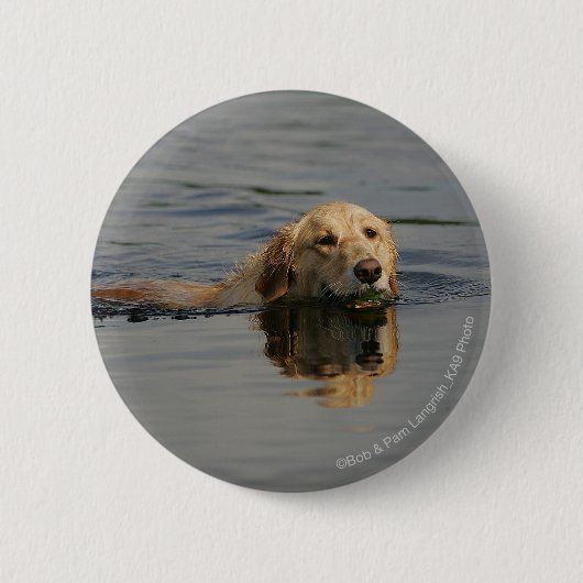 Golden Retriever zwemmen Ronde Button 5,7 Cm (Voorkant)