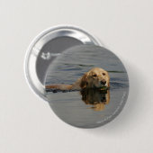 Golden Retriever zwemmen Ronde Button 5,7 Cm (Voorkant /achterkant)