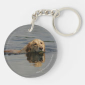 Golden Retriever zwemmen Sleutelhanger (Achterkant)