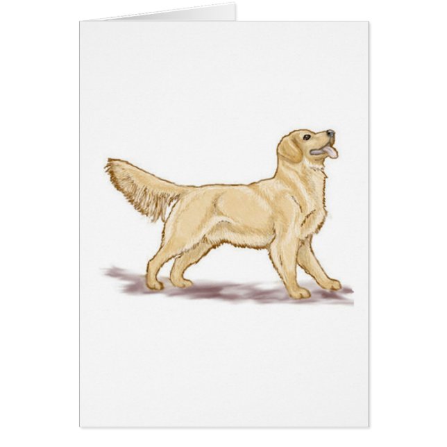 Golden Retrievers (Voorkant)