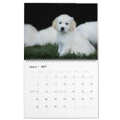 Golden Retrievers 2019 Kalender (Mar 2027)