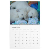 Golden Retrievers 2019 Kalender (Jan 2027)