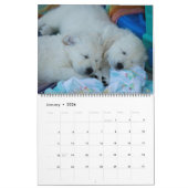 Golden Retrievers 2019 Kalender (Jan 2026)