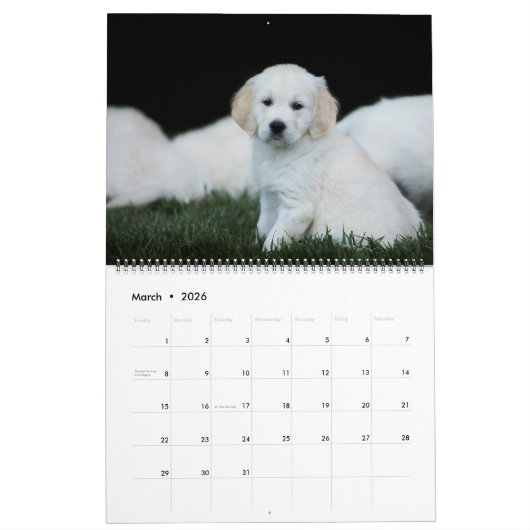 Golden Retrievers 2019 Kalender (Mar 2026)