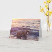 Golden Retrievers Blank Photo Wenskaart Kaart (Gele Bloem)